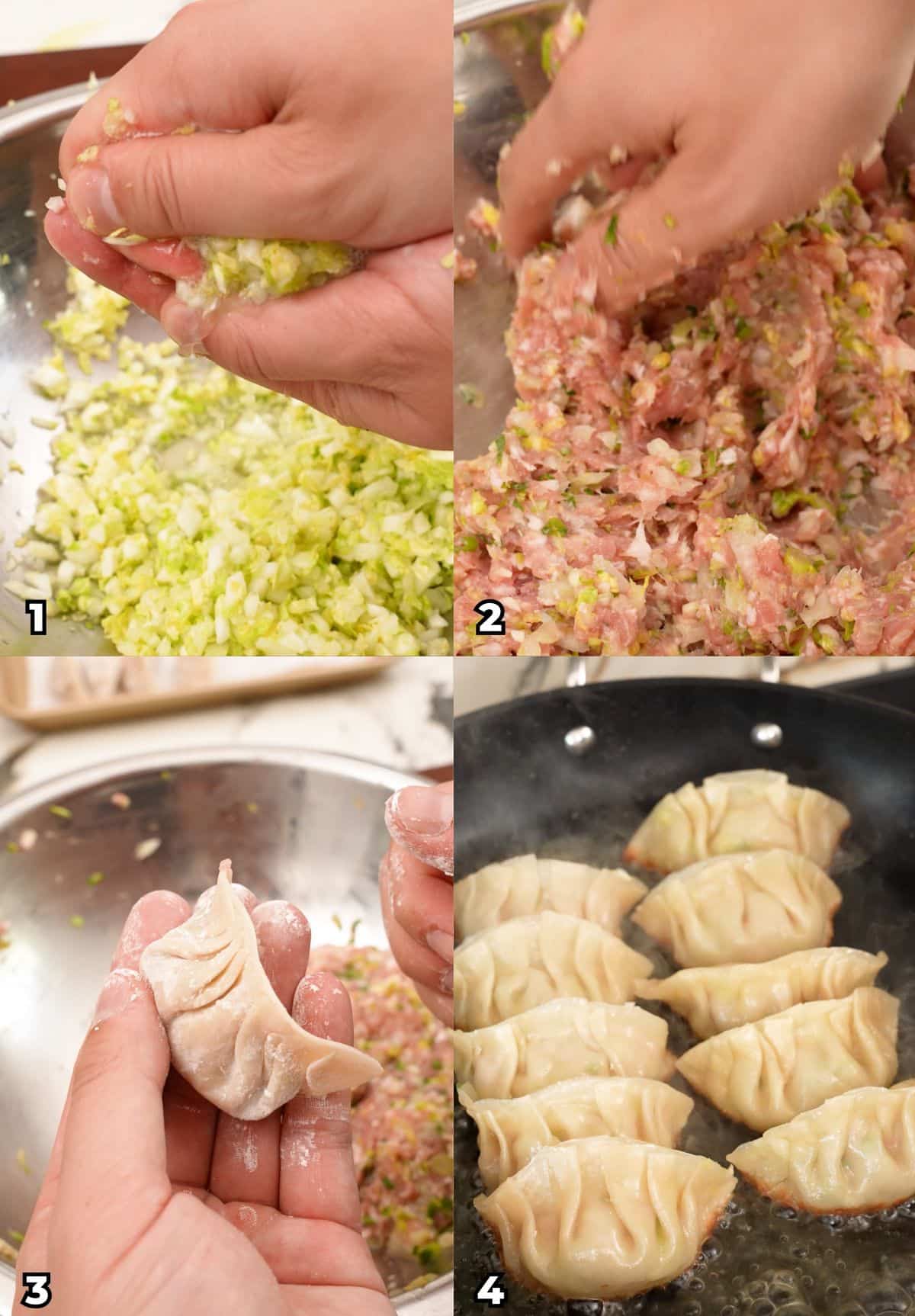 A 4 photo collage showing key cooking steps of how to make authentic Chinese Pork Dumplings at home.