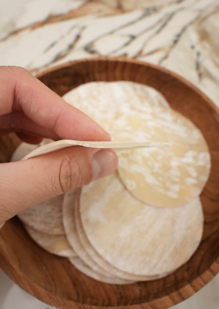 a single dumpling wrapper on a plate