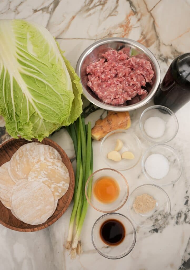 Raw ingredients for Pork Dumplings on a table.