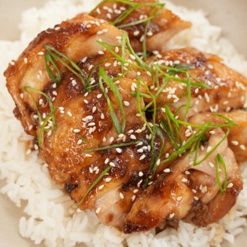 Teriyaki chicken 2025