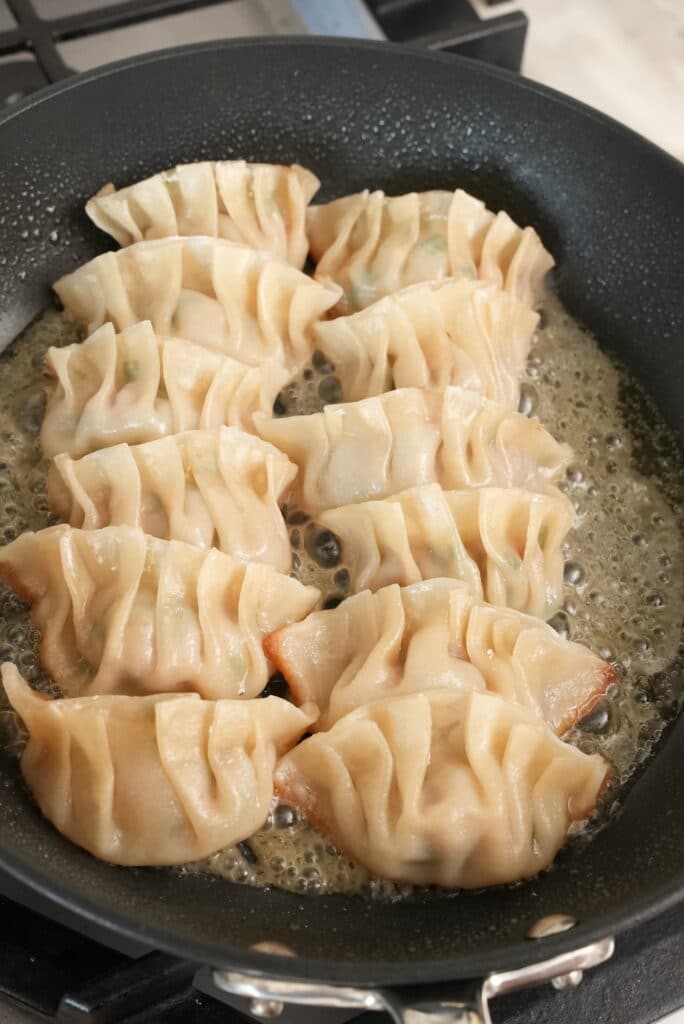 Dumplings cooking in pan