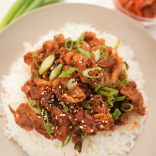 Close up of Spicy Pork Bulgogi on top of rice