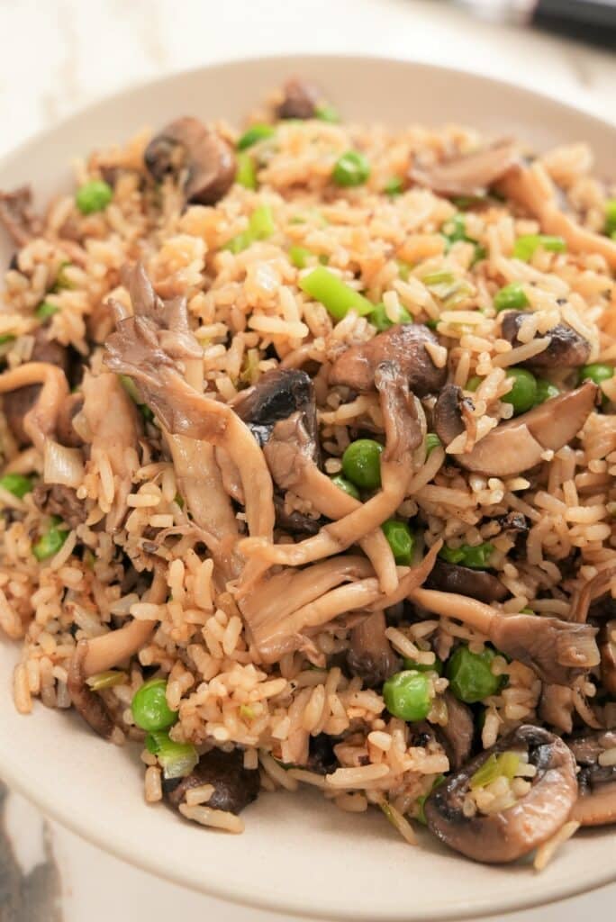 Mushroom Fried Rice close up on a plate
