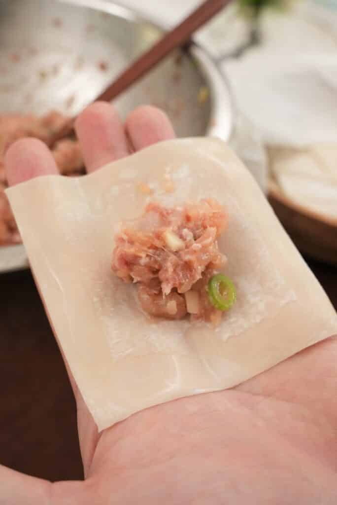 wrapping wontons with filling