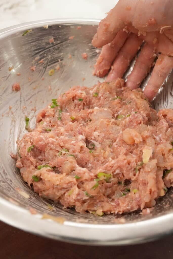 wonton filling mixed in a bowl