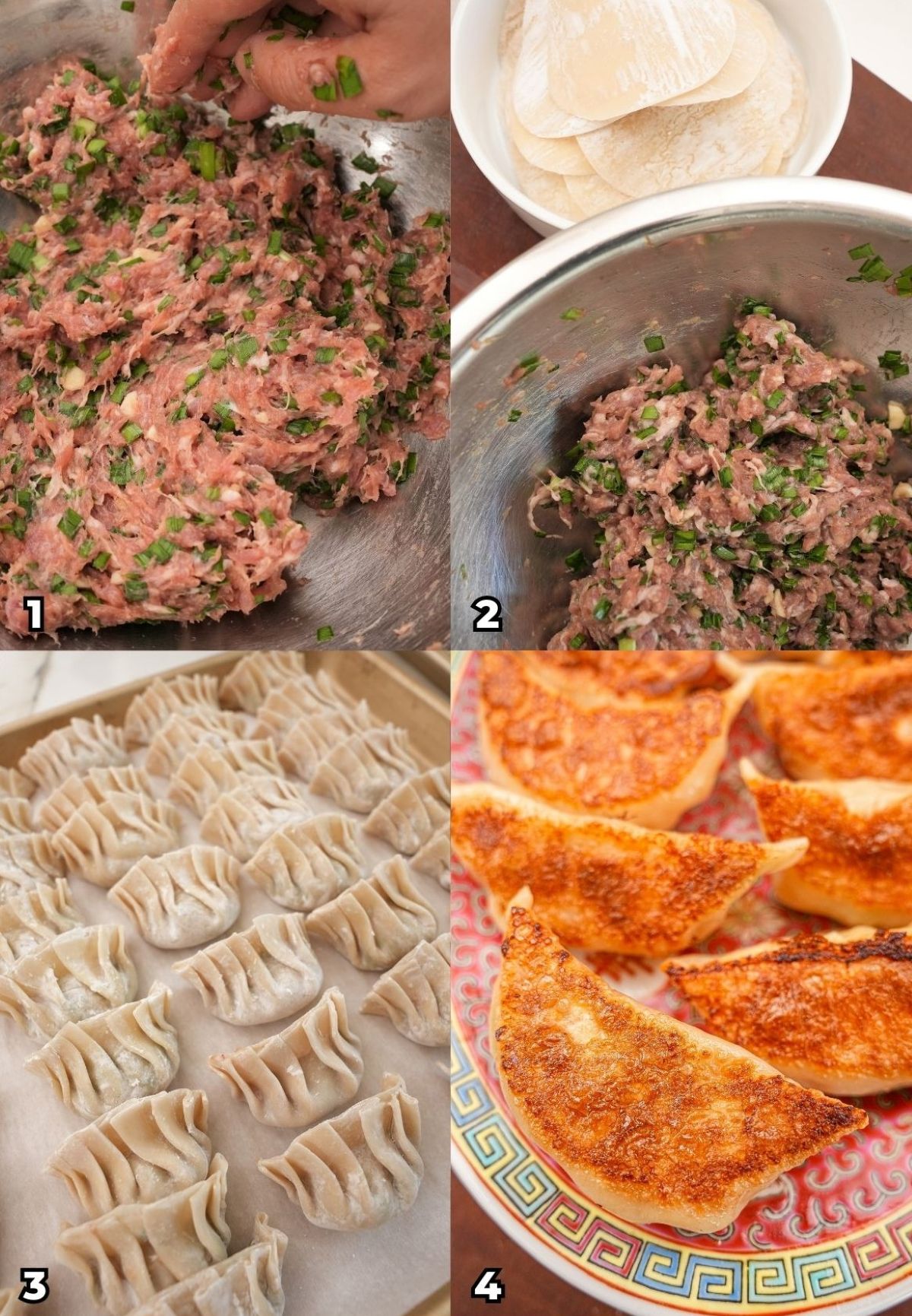 A 4 photo collage showing key cooking steps on how to make Pork and Chive dumplings at home.