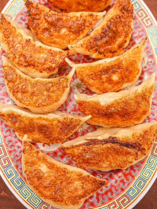 Pork and Chive dumplings that have been pan fried plated on a vintage Chinese ceramic plate.
