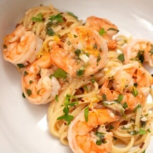 Close up of Shrimp Scampi pasta
