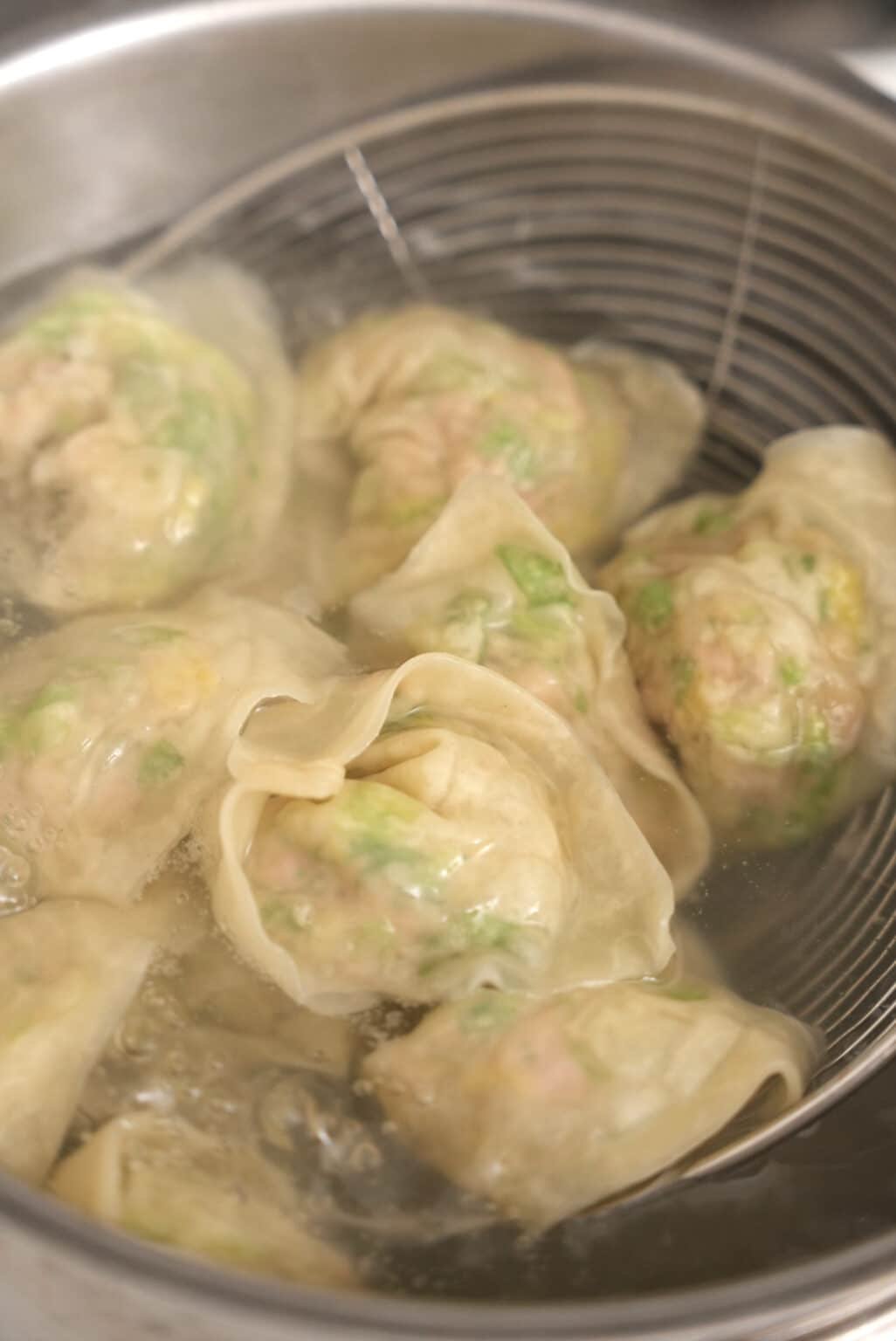 Homemade Chicken and Cilantro Wontons (VIDEO) CJ Eats Recipes