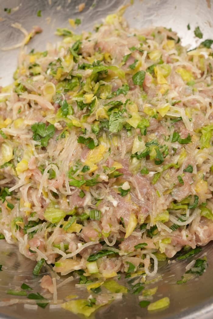 Homemade Chicken and Cilantro Wontons (VIDEO) CJ Eats Recipes