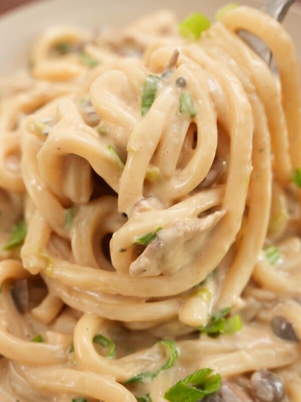 Creamy Mushroom Udon Noodles twirled with a fork