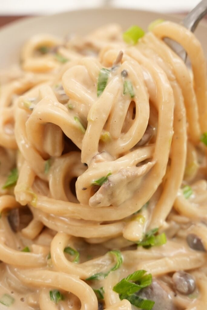Creamy Mushroom Udon Noodles twirled with a fork