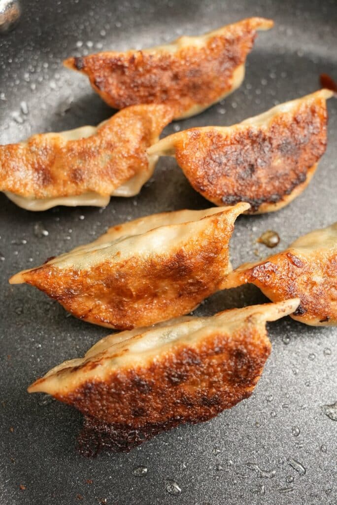 Shrimp and Chive dumplings pan fried in a pan.