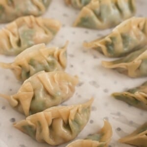 Shrimp and chive dumplings steamed in a pan