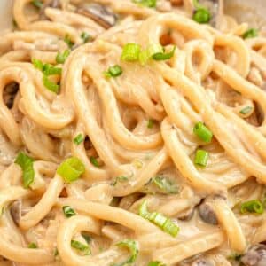 Creamy Mushroom Udon in a bowl topped with scallions.