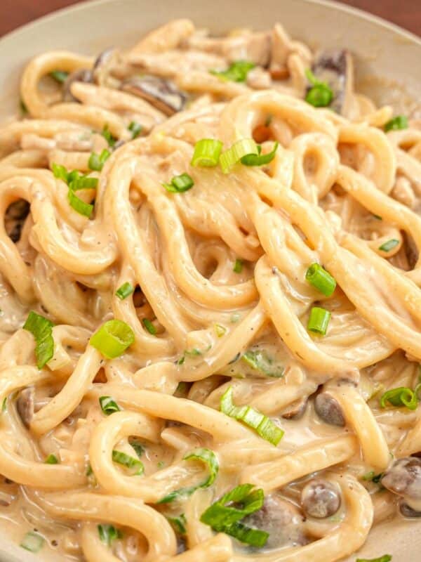 Creamy Mushroom Udon in a bowl topped with scallions.