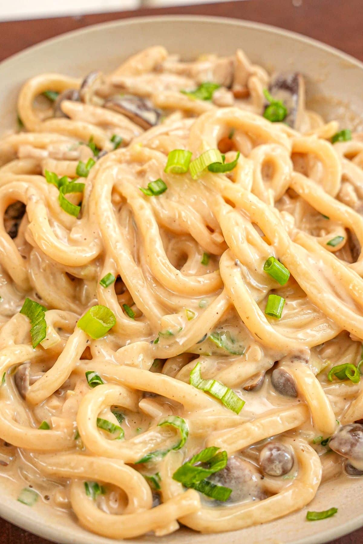 Creamy Mushroom Udon in a bowl topped with scallions.