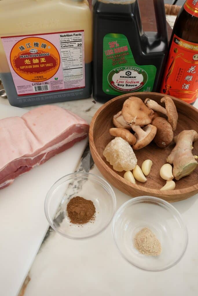Raw ingredients for Taiwanese Braised Pork Rice