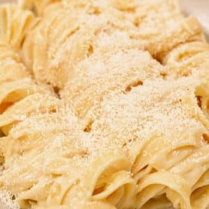 A bowl of plated Fettuccine Alfredo made with fettuccine pasta, butter, parmesan cheese, and pasta water.