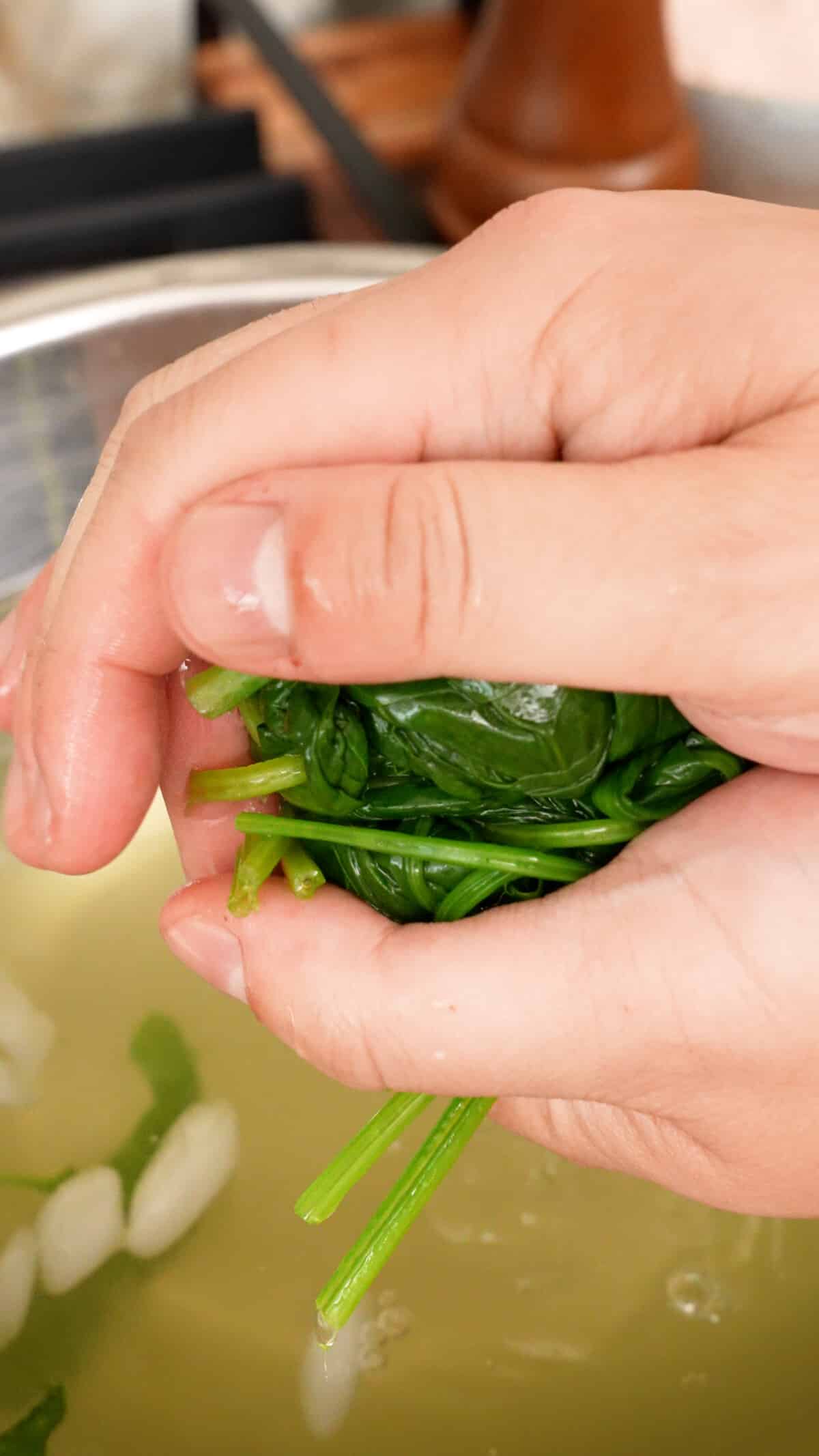 Hands squeezing blanched spinach to remove excess water.