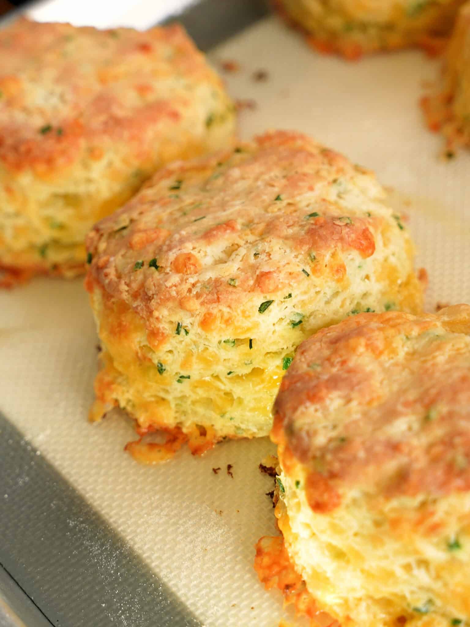 Cheddar biscuits freshly baked on a tray.