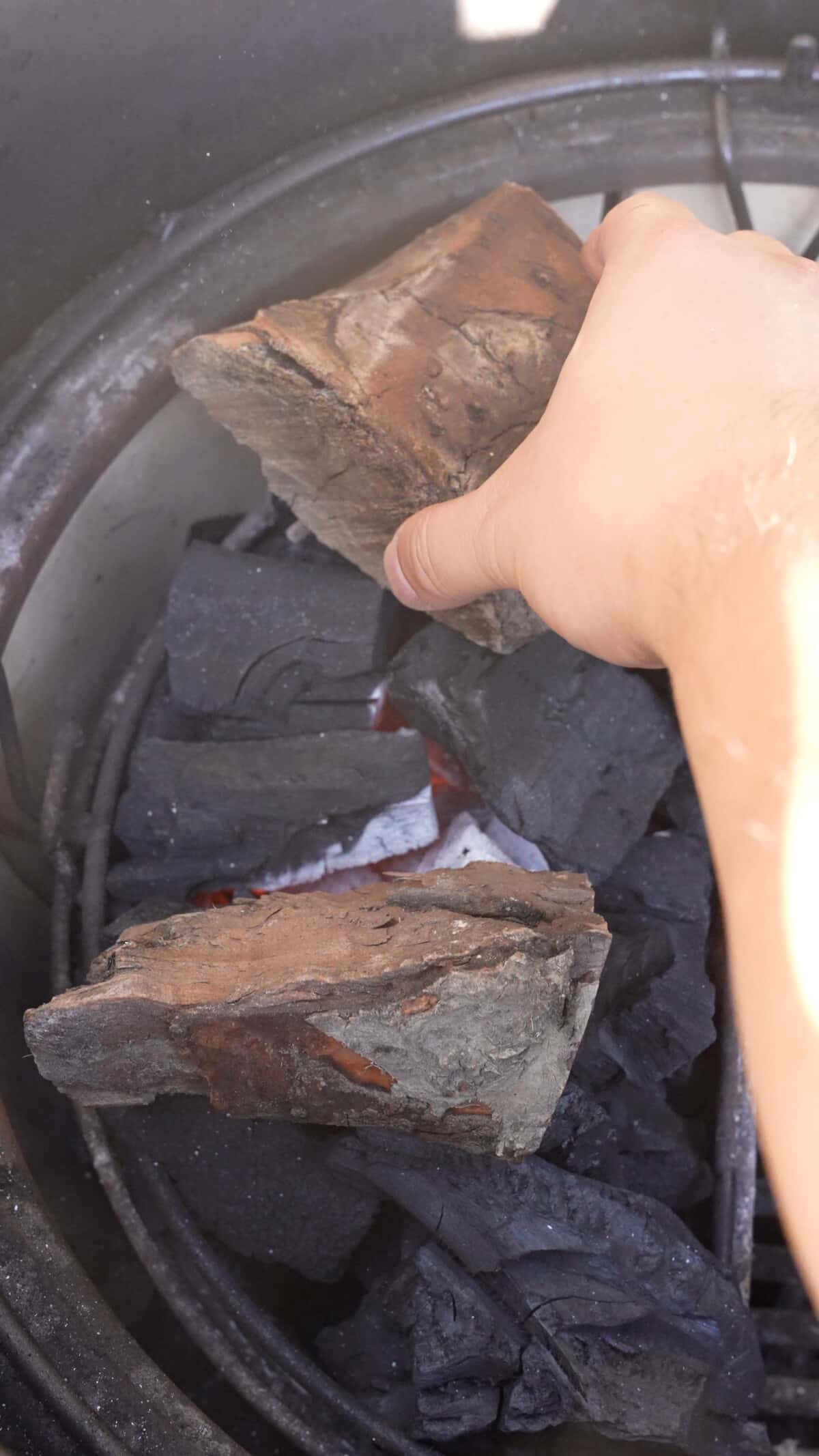 Two pieces of apple wood being added on top of charcoal before being lit.