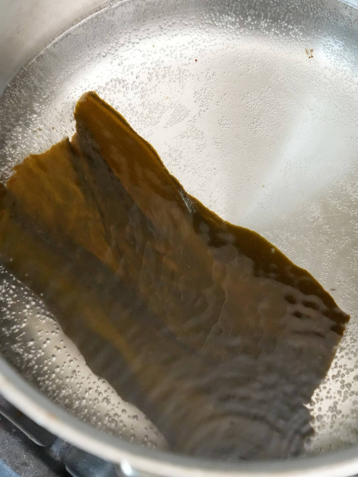 A piece of konbu simmering in water.