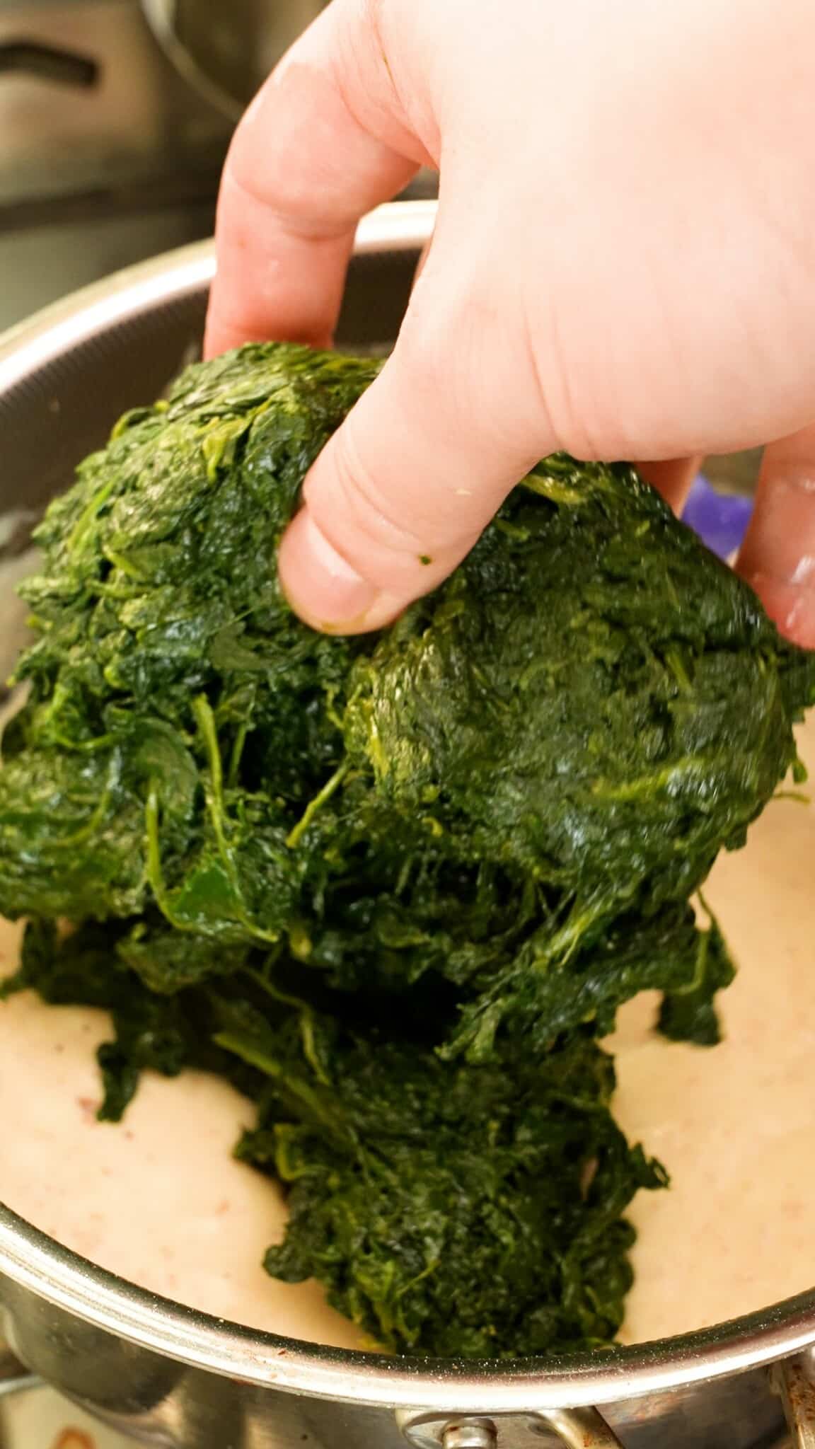 Drained spinach being added to the cream sauce.