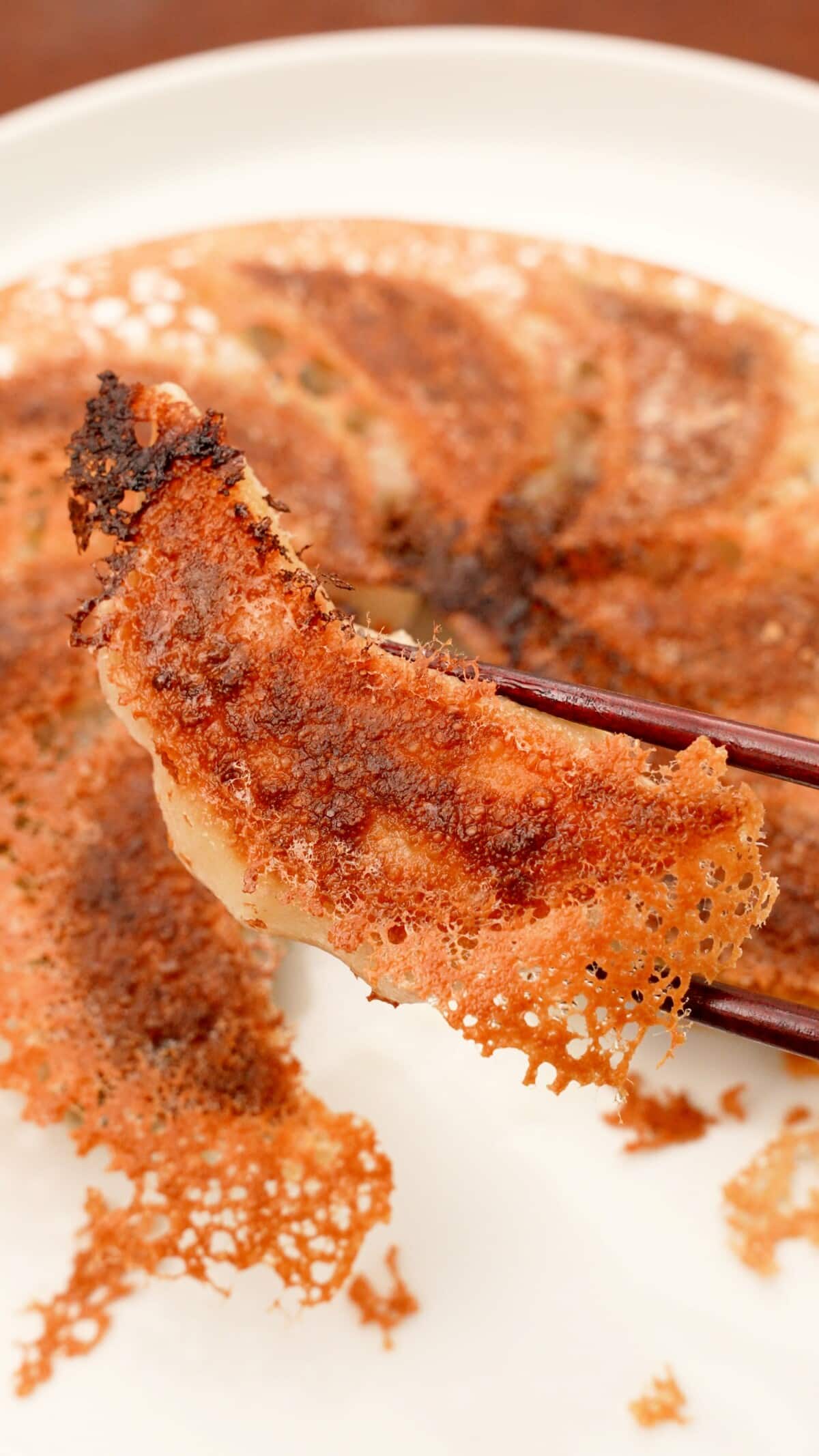 A pair of chopsticks holding up a crispy dumpling with the skirt or lace.