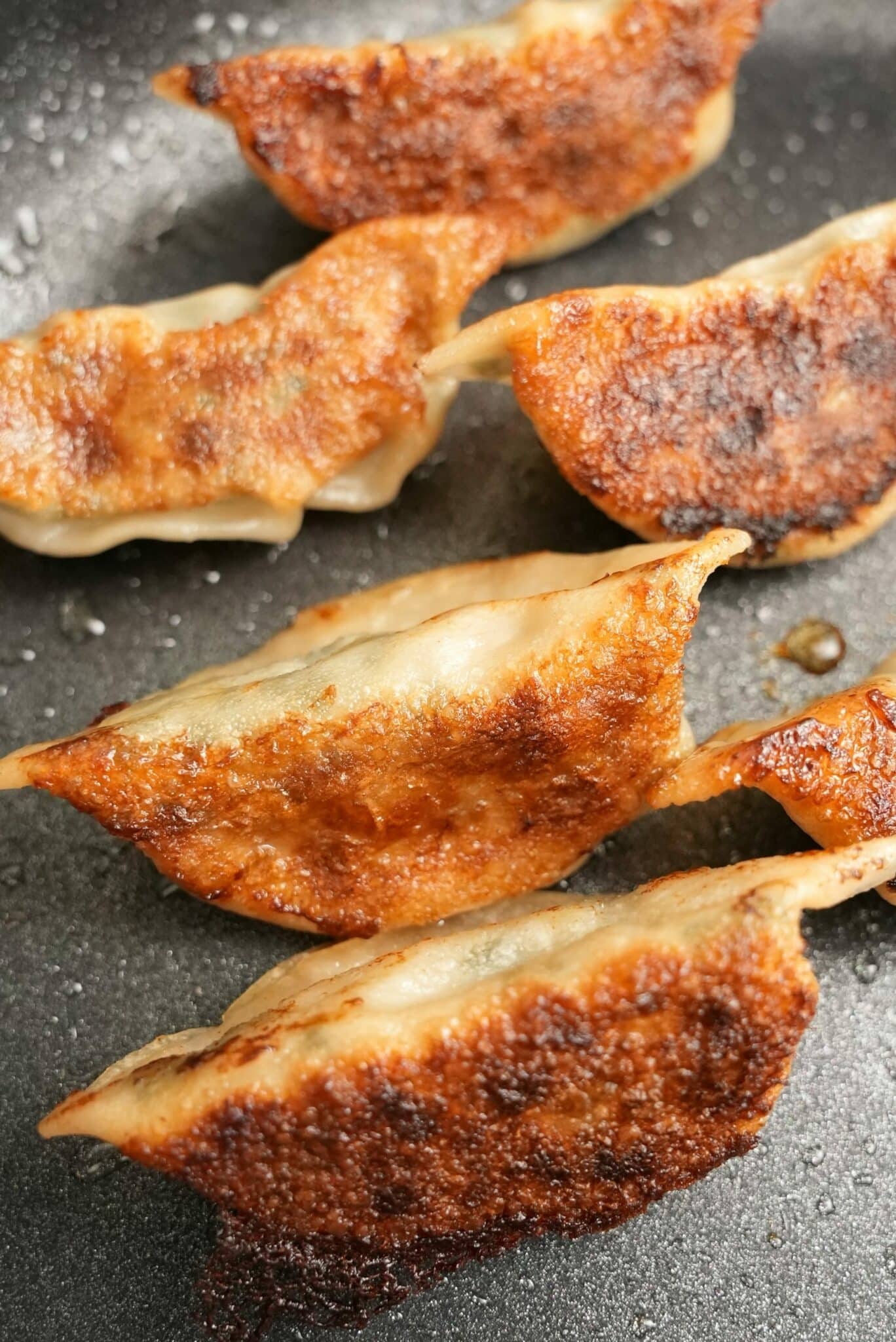 Shrimp and Chive dumplings pan fried in a pan.