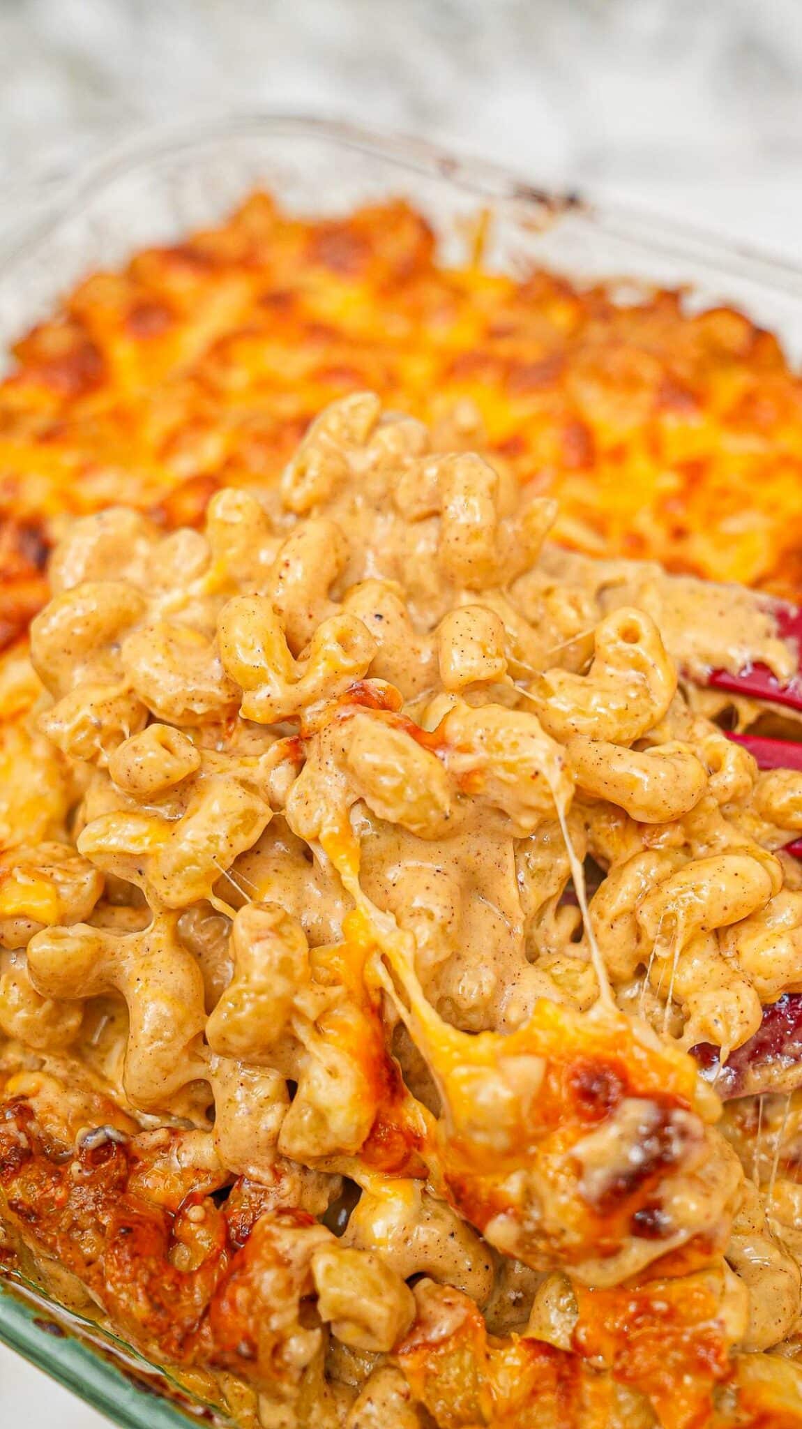 Creamy Baked Mac and Cheese in a casserole dish with cavatappi noodles.